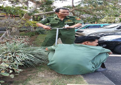 BALIHO SOSIALISASI PERIZINAN